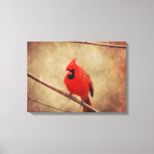 Kardinaal Canvas Afdruk (Voorkant)