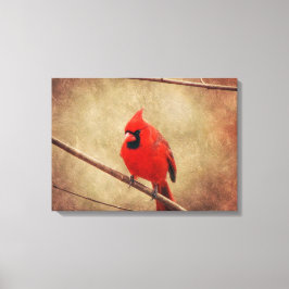 Kardinaal Canvas Afdruk