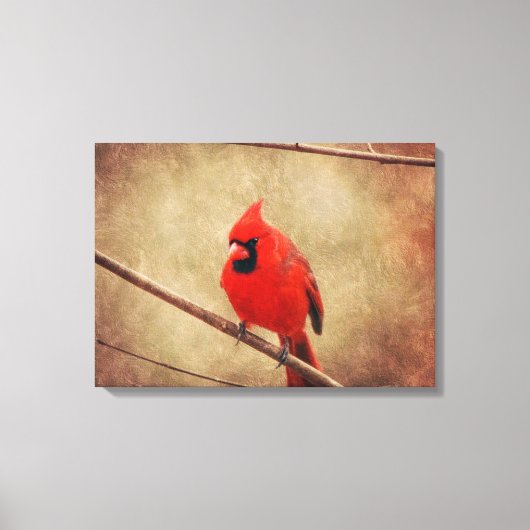 Kardinaal Canvas Afdruk (Voorkant)