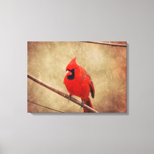 Kardinaal Canvas Afdruk (Voorkant)