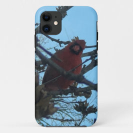 Kardinaal Case-Mate iPhone Case