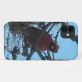 Kardinaal Case-Mate iPhone Case (Achterkant (horizontaal))