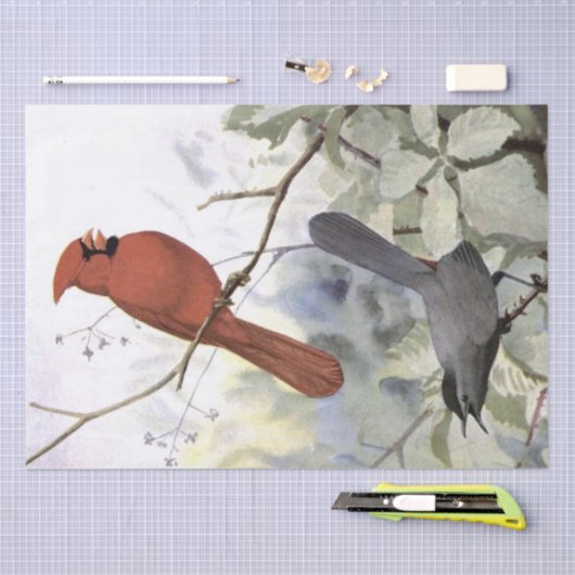 Kardinaal Catbird  Bird Decoupage Natuur Tissuepapier (Craft)