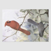 Kardinaal Catbird  Bird Decoupage Natuur Tissuepapier (Voorkant)
