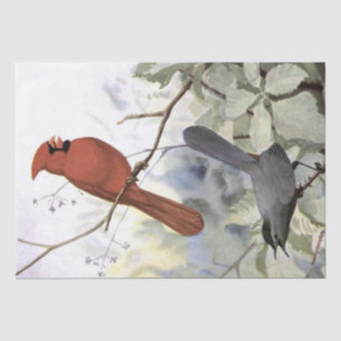 Kardinaal Catbird  Bird Decoupage Natuur Tissuepapier