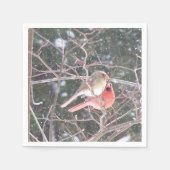 Kardinaal Cocktail Napkins Servet (Voorkant)