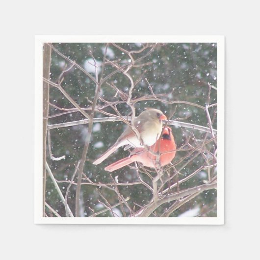 Kardinaal Cocktail Napkins Servet (Voorkant)