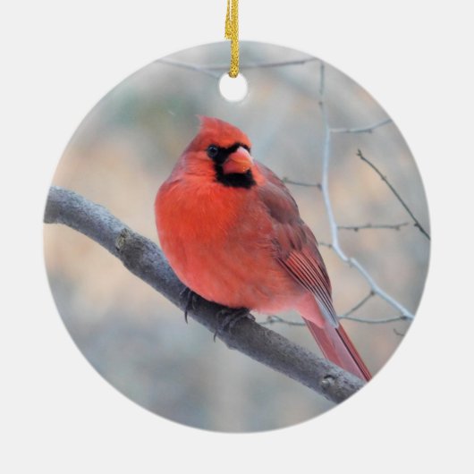 Kardinaal Creek Ornament (Achterkant)