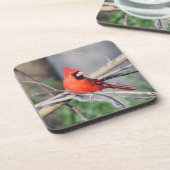 Kardinaal Crest Bier Onderzetter (Linkerzijde)