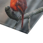 Kardinaal decoratief glazen snijvlak snijplank (Hoek)