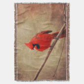 Kardinaal Deken (Voorkant Verticaal)