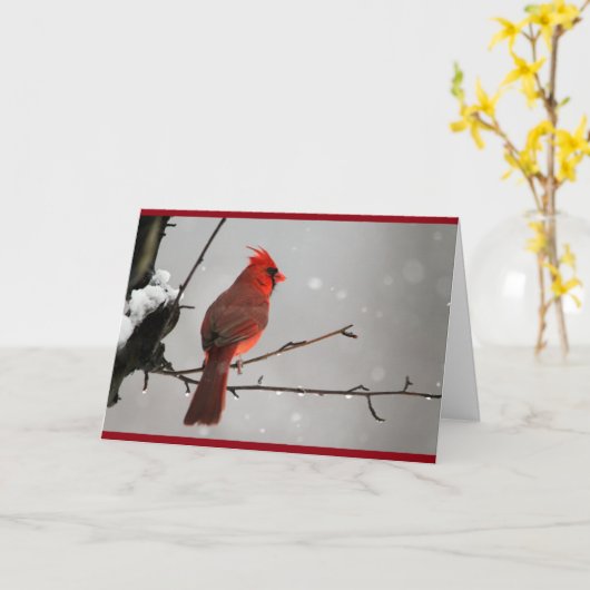 Kardinaal denkt aan uw kaart (Gele Bloem)