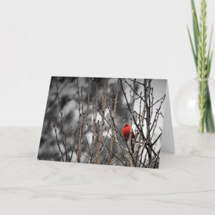 Kardinaal dier, kaart