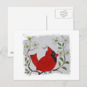 Kardinaal & Dogwood Briefkaart (Voorkant / Achterkant)