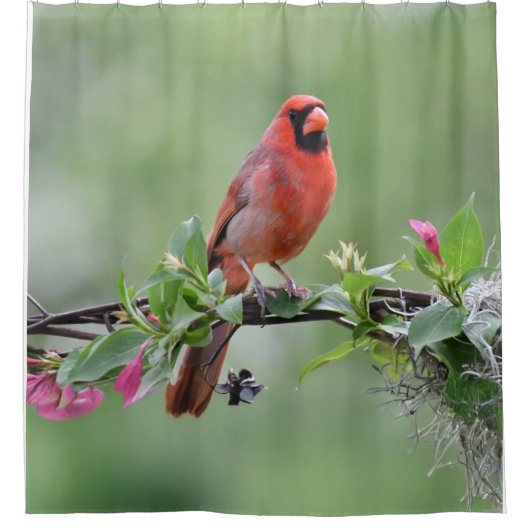 kardinaal douchegordijn (Voorkant)