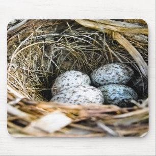 Kardinaal Egg Mousepad Muismat