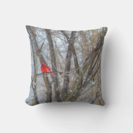 Kardinaal en cichorei kussen