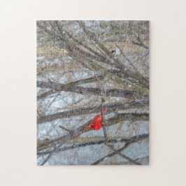 Kardinaal en cichorei legpuzzel