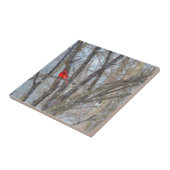 Kardinaal en cichorei tegeltje (Zijkant)