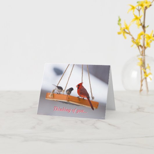 Kardinaal en Juncos denken aan uw Kaart (Gele Bloem)