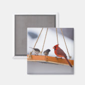 Kardinaal en Juncos Magneet (Voorkant / Achterkant)