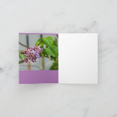 Kardinaal en Lila Kaart (Binnen)