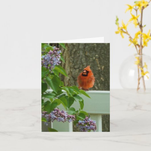 Kardinaal en Lila Kaart (Gele Bloem)