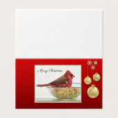 Kardinaal en Ornamenten - Warmte en verwondering Kaart (Buitenkant ongevouwen)