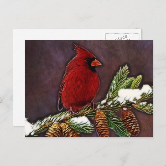 Kardinaal en Pinecones Briefkaart (Voorkant / Achterkant)