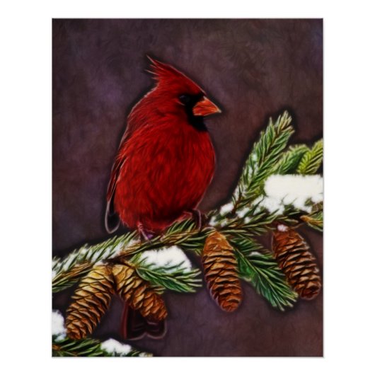 Kardinaal en Pinecones Poster (Voorkant)
