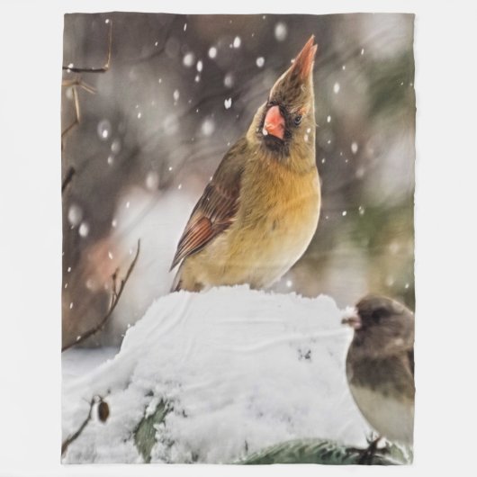 Kardinaal en Sparrow in de sneeuw Fleece Deken (Voorkant)