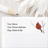 Kardinaal Etiket (Insitu)