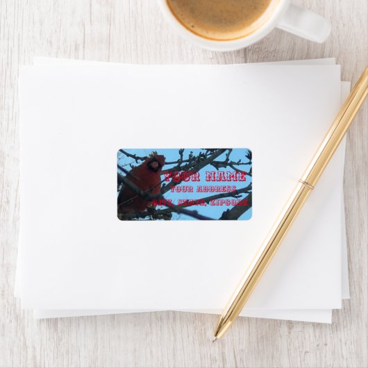 Kardinaal Etiket (Insitu)