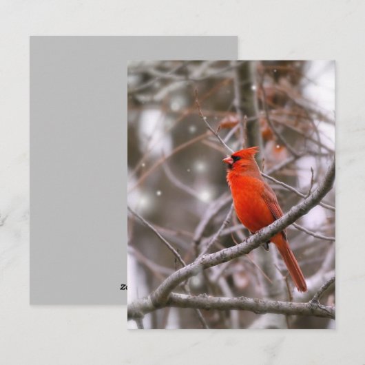 Kardinaal Feestdagenkaart (Voorkant / Achterkant)