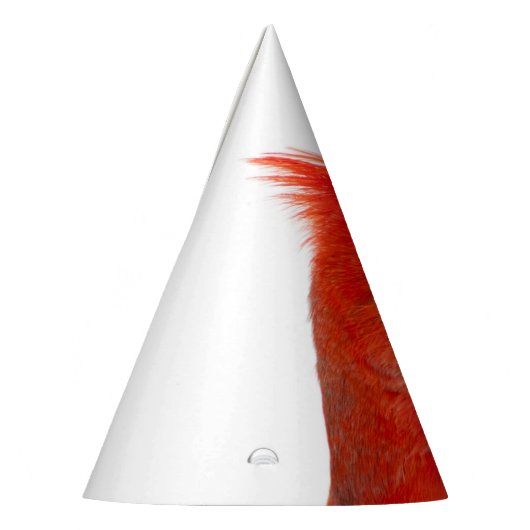 Kardinaal Feesthoedjes (Links)