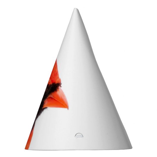 Kardinaal Feesthoedjes (Rechts)