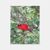 Kardinaal Fleece Blanket (Voorkant)