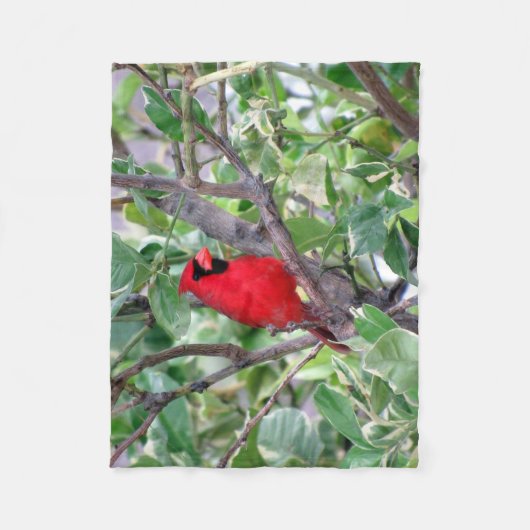 Kardinaal Fleece Blanket (Voorkant)