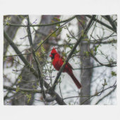 Kardinaal Fleece Deken (Voorkant (Horizontaal))