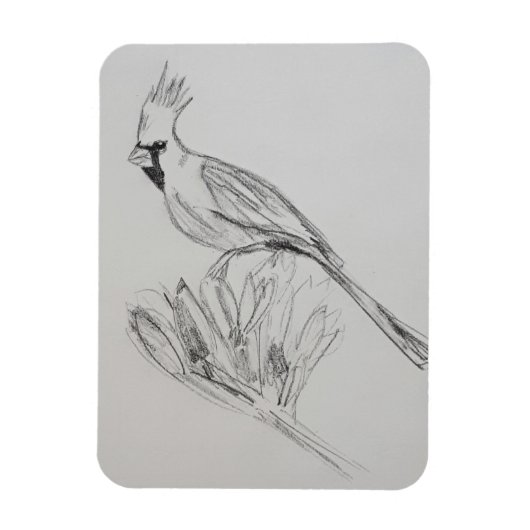 Kardinaal Flexibele Fotomagneet Magneet (Verticaal)