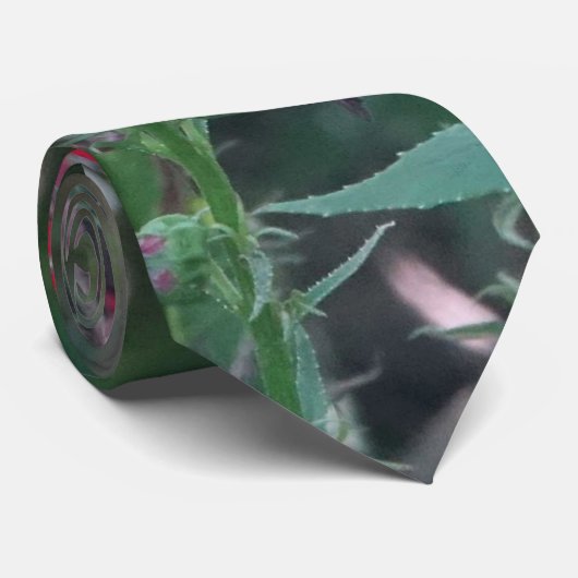 Kardinaal Flower Stropdas (Opgerold)