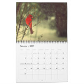 Kardinaal foto 2015 kalender (Feb 2027)