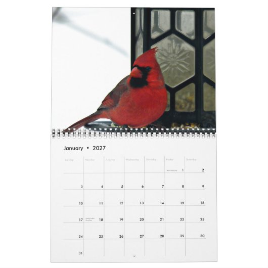 Kardinaal foto 2015 kalender (Jan 2027)