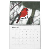Kardinaal foto 2015 kalender (Mar 2027)