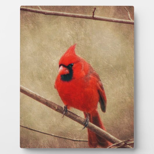 Kardinaal Fotoplaat (Voorkant)