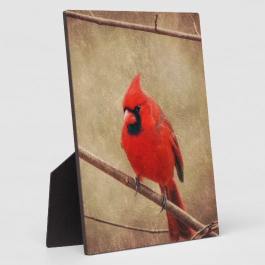 Kardinaal Fotoplaat (Zijkant)