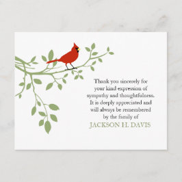 Kardinaal Funeral Dank je wel Kaart Red Bird