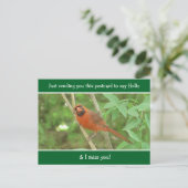 Kardinaal gezegde Hallo en Miss You Briefkaart (Staand voorkant)