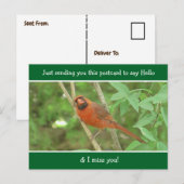 Kardinaal gezegde Hallo en Miss You Briefkaart (Voorkant / Achterkant)