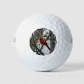 Kardinaal Golfballen (Voorkant)